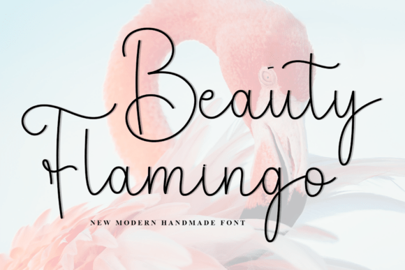 Beauty Flamingo: The Script Font for Modern Campaigns