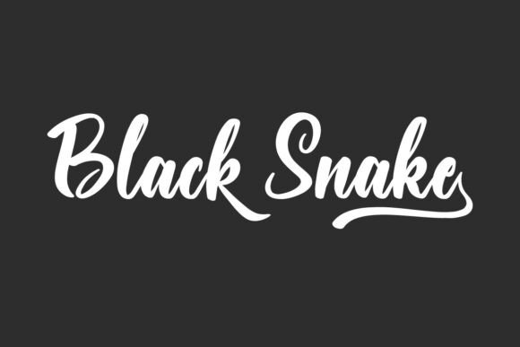 Black Snake: A Timeless Script Font for Editorial Design