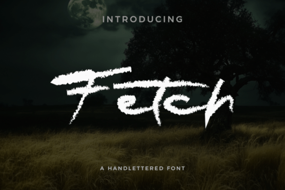 Fetch Typeface for Editorial Design