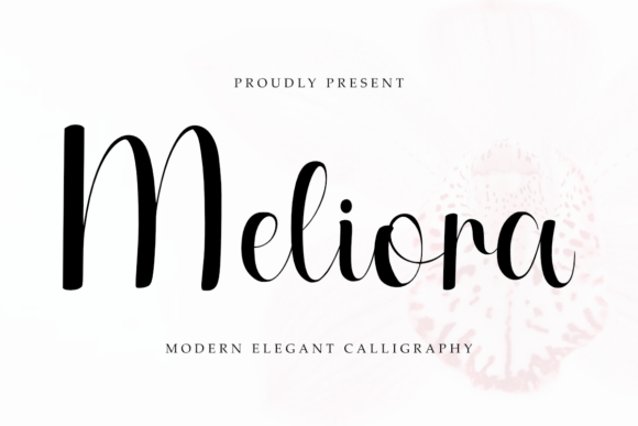 Meliora Font Review for Modern Campaign Design