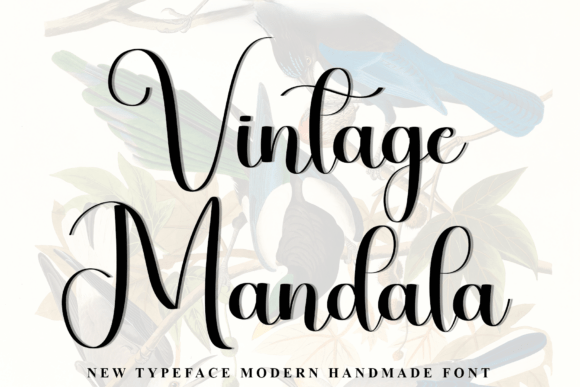Vintage Mandala Script Font Review